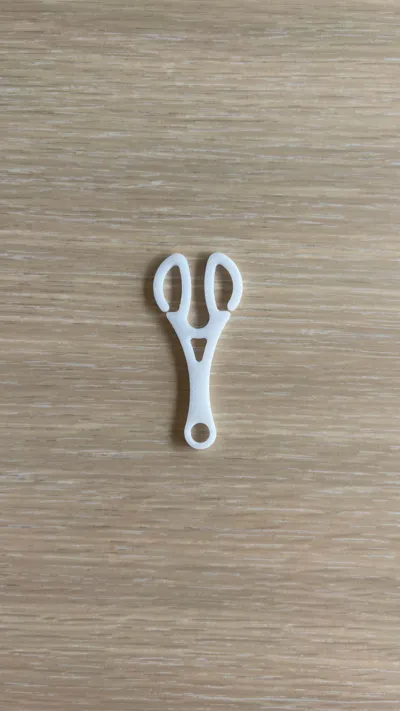 https://makerworld.bblmw.com/makerworld/model/707968/638118/ratings/cd5e6320-7e94-11f0-ae6d-2573d9e55a04.jpg