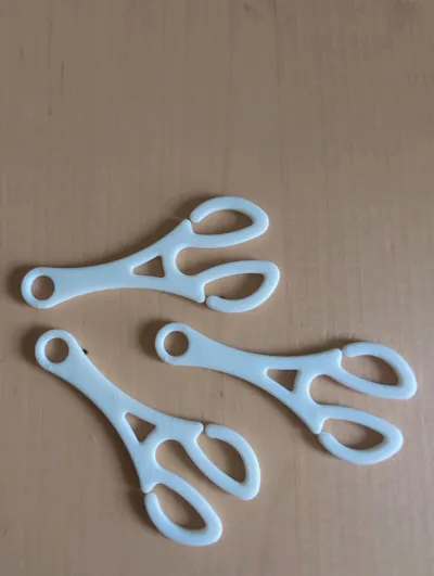 https://makerworld.bblmw.com/makerworld/model/707968/638118/ratings/fa5bce60-4138-11f0-87da-3f18c06c4e18.jpg