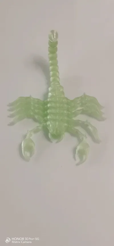 https://makerworld.bblmw.com/makerworld/model/708574/640681/ratings/1324d480-3a79-11f0-8094-5b6db79dd00c.jpg