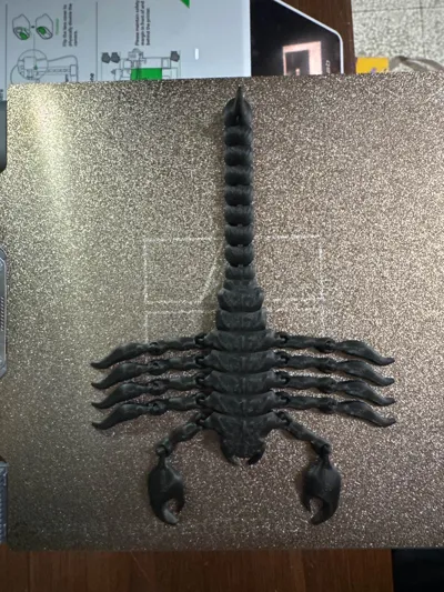 https://makerworld.bblmw.com/makerworld/model/708574/640681/ratings/45c7e880-a25e-11f0-85a1-53a9f861e542.jpg