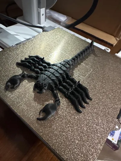 https://makerworld.bblmw.com/makerworld/model/708574/640681/ratings/45d5cb30-a25e-11f0-85a1-53a9f861e542.jpg