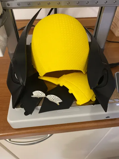 https://makerworld.bblmw.com/makerworld/model/710044/640343/ratings/ab57f760-1df4-11f0-aace-4b588d33c503.jpg
