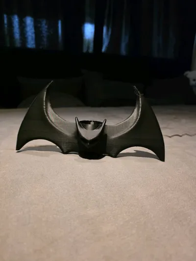 https://makerworld.bblmw.com/makerworld/model/713478/643936/ratings/b4303080-a37a-11f0-9f02-8784735b1c0c.jpg