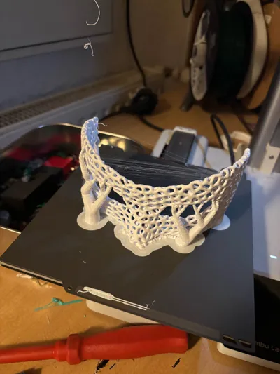 https://makerworld.bblmw.com/makerworld/model/713807/645420/ratings/749313f0-6196-11f0-afdd-bfb2b99b2b38.jpg