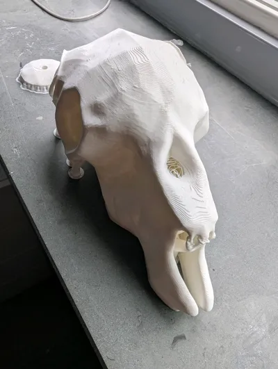 https://makerworld.bblmw.com/makerworld/model/714663/645297/ratings/203f0100-6160-11f0-a5d2-bf85e16ae2e7.jpg