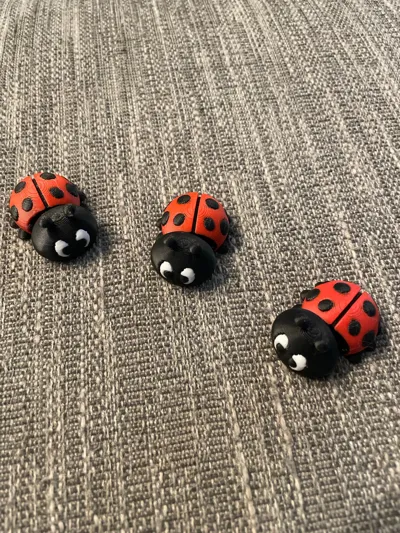 https://makerworld.bblmw.com/makerworld/model/715200/645855/ratings/6dc9fdd0-5116-11f0-b28b-dd17d4d7ad95.jpg