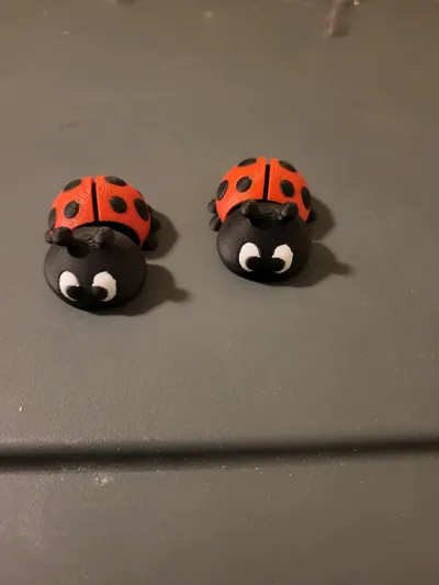 https://makerworld.bblmw.com/makerworld/model/715200/645855/ratings/f5f50e10-1102-11f0-a98c-a1f768344af3.jpg