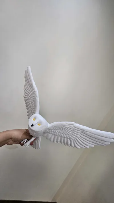 https://makerworld.bblmw.com/makerworld/model/716772/1883818/ratings/13171ef0-ac32-11f0-b604-534432fbe908.jpg