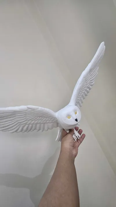 https://makerworld.bblmw.com/makerworld/model/716772/1883818/ratings/131941d0-ac32-11f0-b604-534432fbe908.jpg