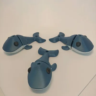 https://makerworld.bblmw.com/makerworld/model/717839/648601/ratings/41fec260-a078-11f0-b530-3fbdefce1180.jpg