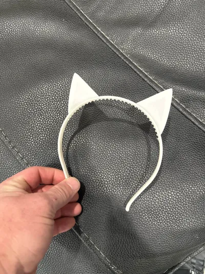 https://makerworld.bblmw.com/makerworld/model/720464/651321/ratings/22a80f00-d3a1-11f0-a66f-772a2d417e2d.jpg