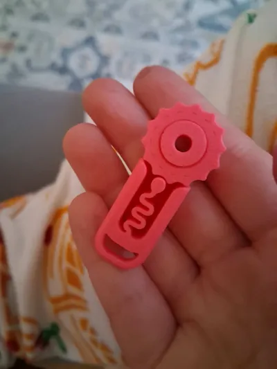 https://makerworld.bblmw.com/makerworld/model/722323/653276/ratings/d52e4b30-e756-11f0-b7c1-c902290da787.jpg