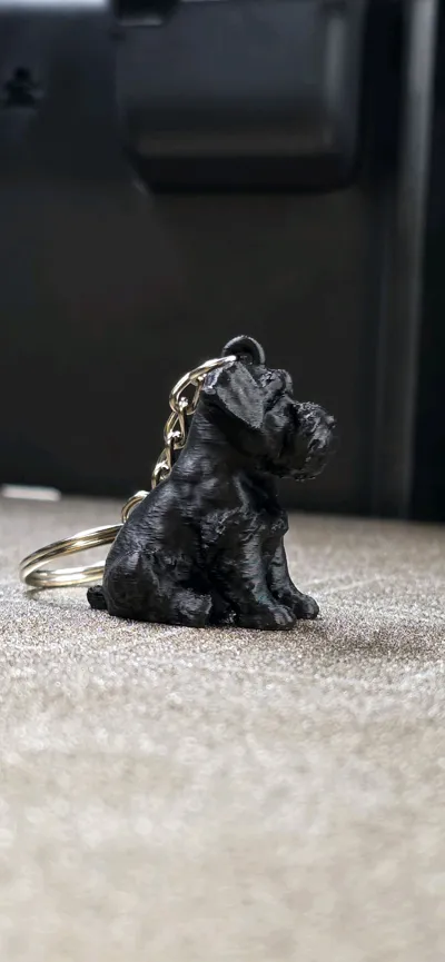 https://makerworld.bblmw.com/makerworld/model/722423/653434/ratings/2bda33b0-df30-11f0-9fc0-f16edc3b0dc8.jpg