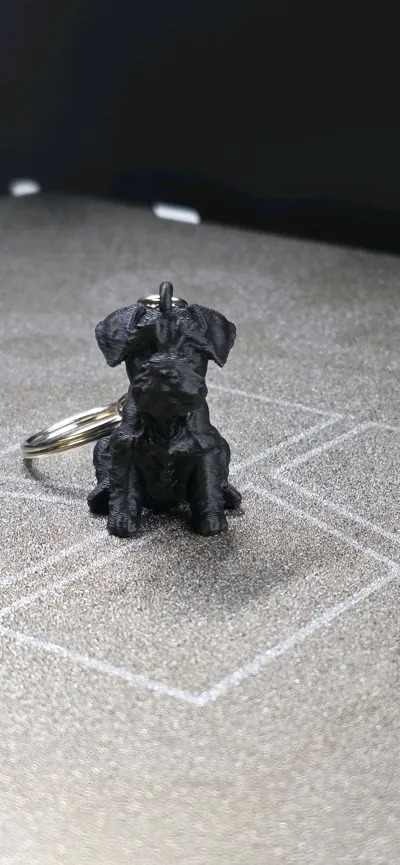 https://makerworld.bblmw.com/makerworld/model/722423/653434/ratings/2c084890-df30-11f0-9fc0-f16edc3b0dc8.jpg