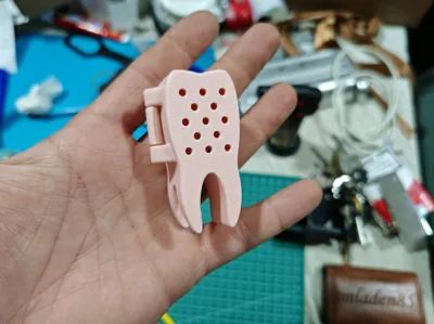 https://makerworld.bblmw.com/makerworld/model/722636/653619/ratings/eb64d660-fa4f-11f0-8480-d7f55fc77a71.jpg