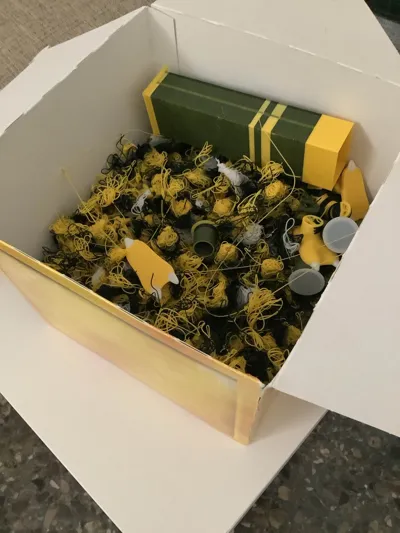 https://makerworld.bblmw.com/makerworld/model/722733/653729/ratings/b4857f20-6542-11f0-ad04-b1349e08e961.jpg