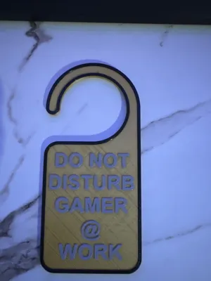 Do not Disturb Gamer by 3D Baptista Printing - MakerWorld