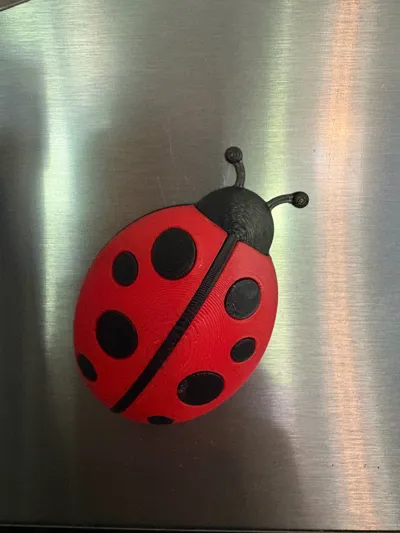 https://makerworld.bblmw.com/makerworld/model/725346/1640041/ratings/00ec2a20-7ed0-11f0-88a8-afa9be99a6dd.jpg