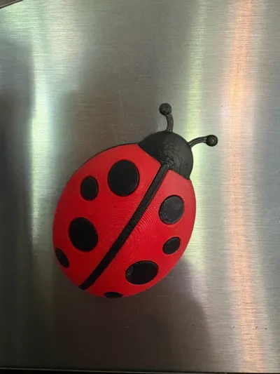 https://makerworld.bblmw.com/makerworld/model/725346/1640041/ratings/00ef5e70-7ed0-11f0-88a8-afa9be99a6dd.jpg