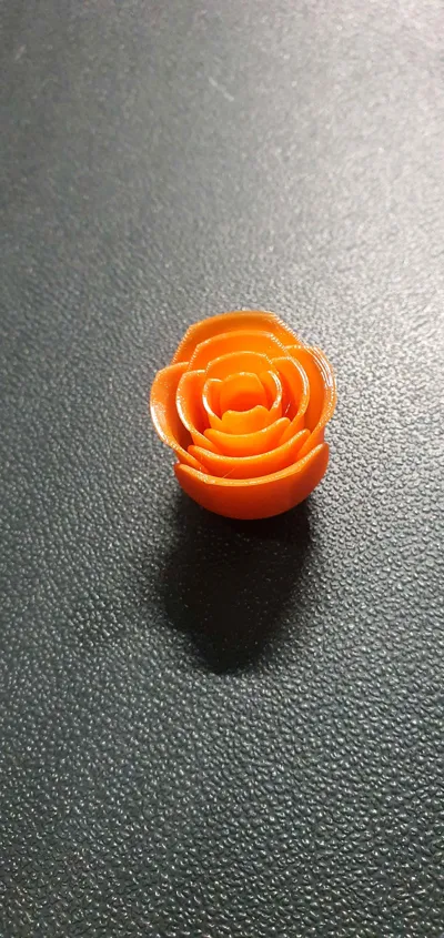 https://makerworld.bblmw.com/makerworld/model/725401/656637/ratings/d73a4d20-3865-11f0-9cf1-e31874aed3d7.jpg