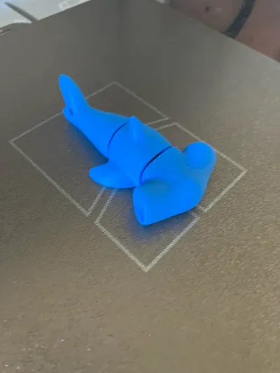 https://makerworld.bblmw.com/makerworld/model/725593/656856/ratings/504c45f0-6800-11f0-b53e-bbd03600dcd5.jpg