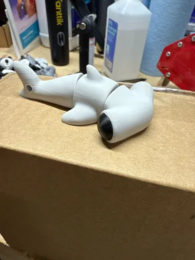 https://makerworld.bblmw.com/makerworld/model/725593/656856/ratings/fe16e0e0-1130-11f0-8b78-ad40e040a39f.jpg