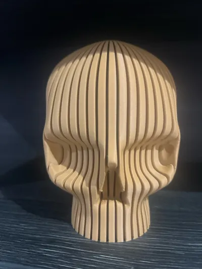 https://makerworld.bblmw.com/makerworld/model/726076/657441/ratings/64a19d70-2467-11f0-9567-d30dc949c741.jpg
