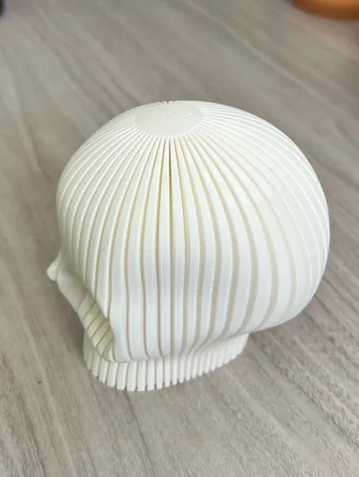 https://makerworld.bblmw.com/makerworld/model/726076/657441/ratings/6811e070-2695-11f0-a3f1-3fc5aa8e7215.jpg