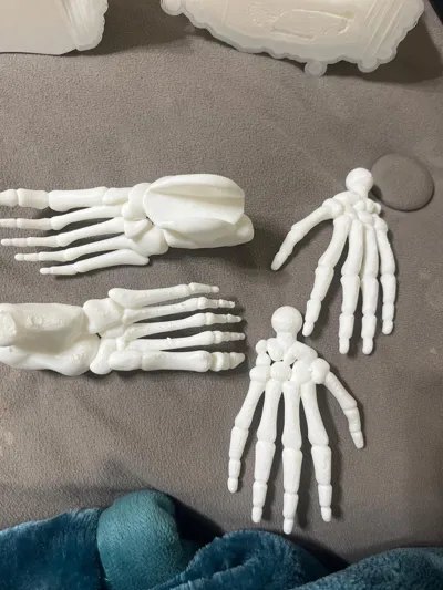 https://makerworld.bblmw.com/makerworld/model/729130/764763/ratings/f4256400-edb5-11f0-9832-a52b5312d756.jpg