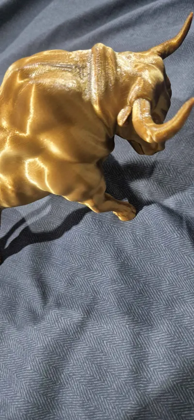 https://makerworld.bblmw.com/makerworld/model/731450/663001/ratings/f05f8360-2307-11f0-87c8-4776bcccfde2.jpg