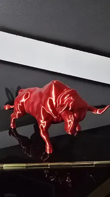 https://makerworld.bblmw.com/makerworld/model/731450/663001/ratings/f55479d0-fce1-11ef-9f0e-fbe9730fccfe.jpg