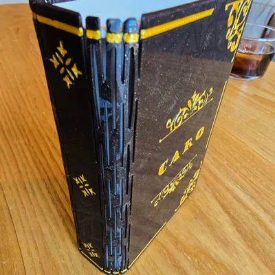 https://makerworld.bblmw.com/makerworld/model/733383/665094/ratings/b85ba1c0-eaf7-11f0-874a-17aa34fde55c.jpg