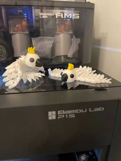 https://makerworld.bblmw.com/makerworld/model/735418/1348973/ratings/46905050-ae8d-11f0-a72f-ad2cb4c65ade.jpg