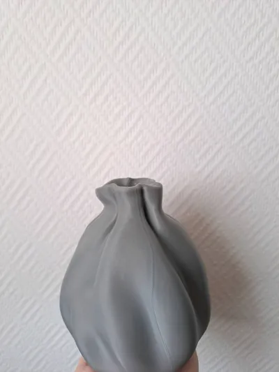 https://makerworld.bblmw.com/makerworld/model/735637/673611/ratings/b3457ce0-a760-11f0-8b6d-fb66f976234b.jpg