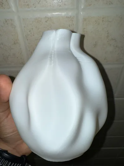 https://makerworld.bblmw.com/makerworld/model/735637/677213/ratings/a6809060-4f65-11f0-a0e1-21f9ce3e935e.jpg