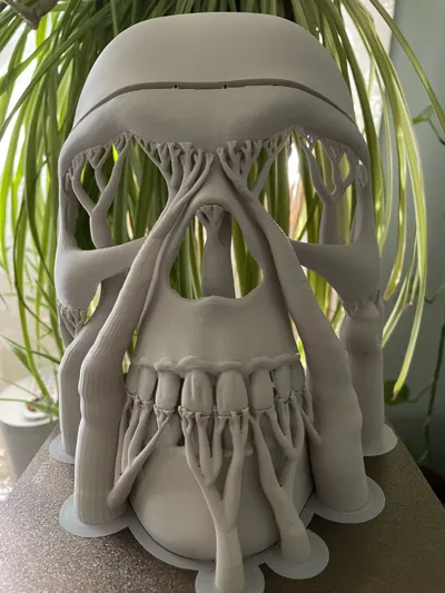 https://makerworld.bblmw.com/makerworld/model/736479/668525/ratings/da423030-6b4d-11f0-b134-098c7af21405.jpg