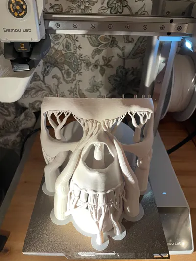 https://makerworld.bblmw.com/makerworld/model/736479/668525/ratings/da4898d0-6b4d-11f0-b134-098c7af21405.jpg