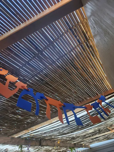 https://makerworld.bblmw.com/makerworld/model/736988/1972743/ratings/171606f0-a558-11f0-92af-dfcc239e8565.jpg