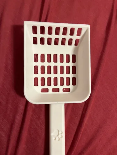 https://makerworld.bblmw.com/makerworld/model/738130/907321/ratings/52a8e370-9259-11f0-a7fd-1feef254b8a9.jpg
