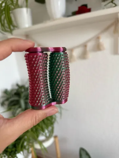 https://makerworld.bblmw.com/makerworld/model/738351/1140618/ratings/70aaae20-ae61-11f0-8689-7dca8971994f.jpg