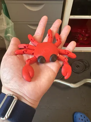 https://makerworld.bblmw.com/makerworld/model/739001/671294/ratings/b62902c0-07c8-11f0-9055-e31549766a05.jpg
