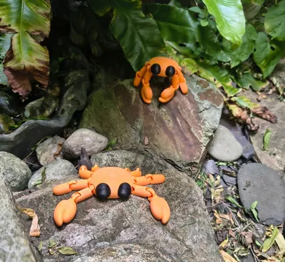 https://makerworld.bblmw.com/makerworld/model/739001/671294/ratings/ecd6c840-5640-11f0-a2a0-a3055e81931c.jpg