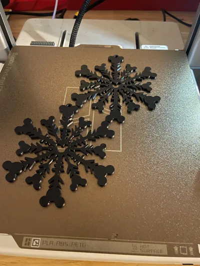 https://makerworld.bblmw.com/makerworld/model/739074/671370/ratings/04c888c0-aeda-11f0-b890-57a138f3bac8.jpg
