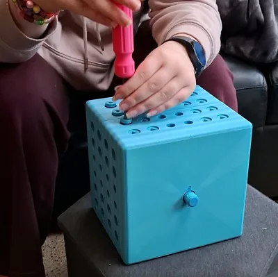 https://makerworld.bblmw.com/makerworld/model/741143/673565/ratings/e72d3900-a551-11f0-a627-61817d8fad8c.jpg