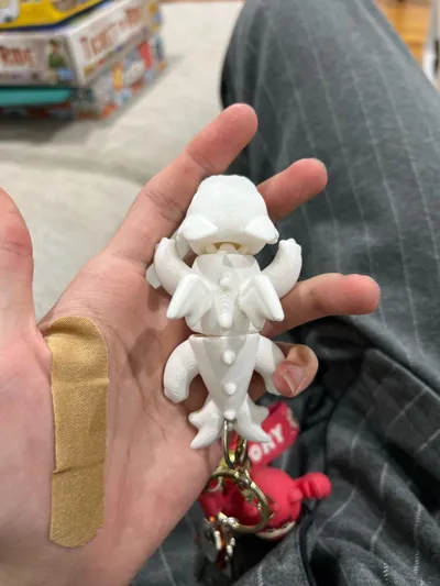 https://makerworld.bblmw.com/makerworld/model/741875/674353/ratings/27793dc0-17b2-11f0-ad01-97969b5db9cd.jpg