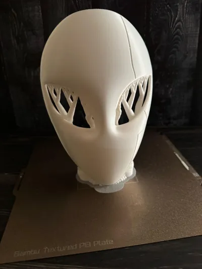 https://makerworld.bblmw.com/makerworld/model/742227/674764/ratings/958d9ea0-af56-11f0-b896-d78750ae473f.jpg
