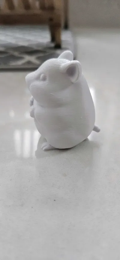 https://makerworld.bblmw.com/makerworld/model/743406/676055/ratings/8fd2c520-eb3e-11f0-a88e-f3c01bf8b562.jpg