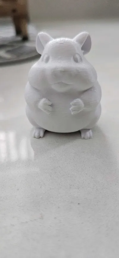 https://makerworld.bblmw.com/makerworld/model/743406/676055/ratings/8fe080c0-eb3e-11f0-a88e-f3c01bf8b562.jpg