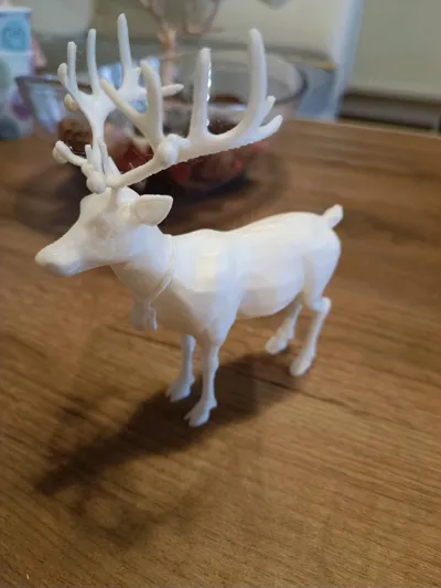 https://makerworld.bblmw.com/makerworld/model/744150/676861/ratings/523a7ee0-b503-11f0-96e5-53fd13fee146.jpg