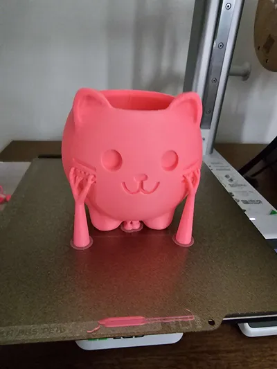 https://makerworld.bblmw.com/makerworld/model/746931/680107/ratings/104e8e80-38c2-11f0-807f-43eb88dbaca7.jpg